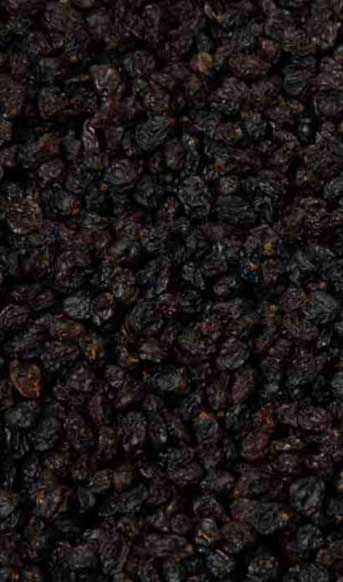 CURRANT 12 Kg. PACK